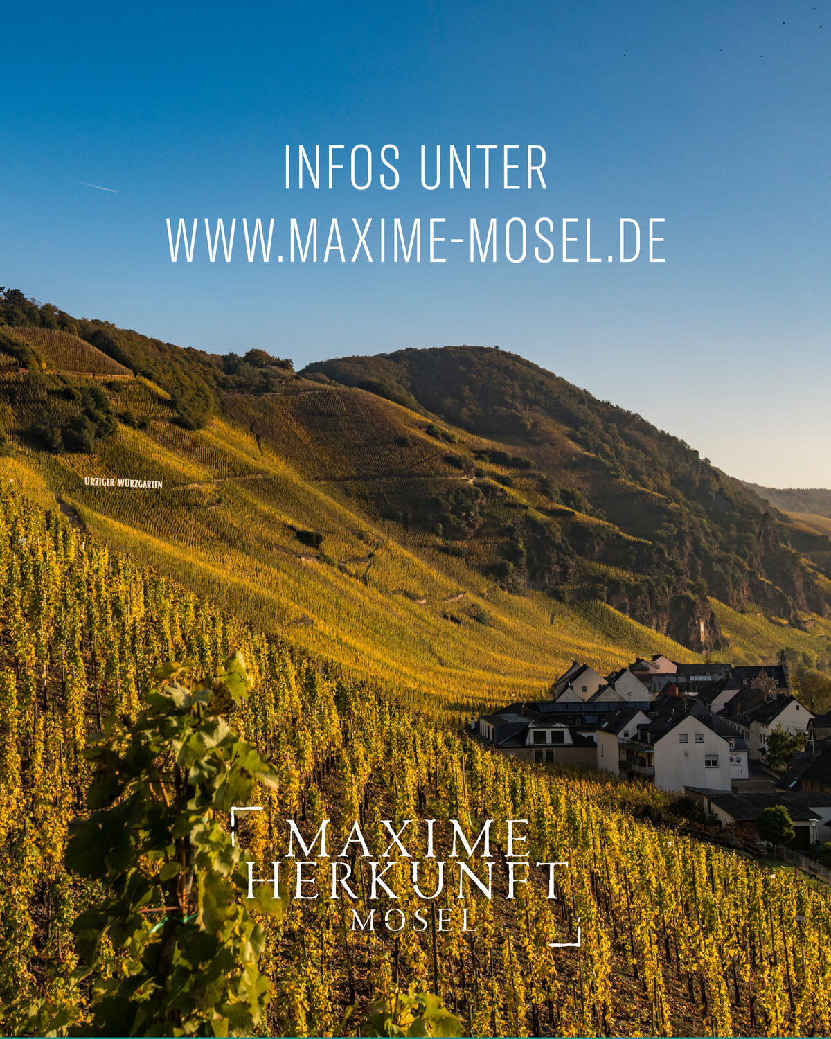 Maxime Herkunft presents: Mittelmosel trifft Terrassenmosel